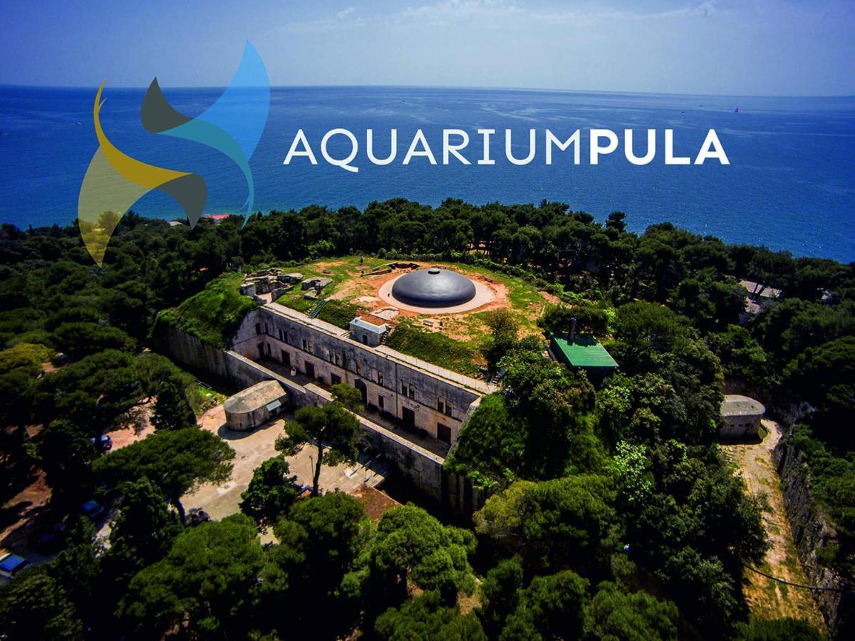 Arena Sunset, Sea Coloseum View, 2 Rooms Free Parking Pula Ngoại thất bức ảnh